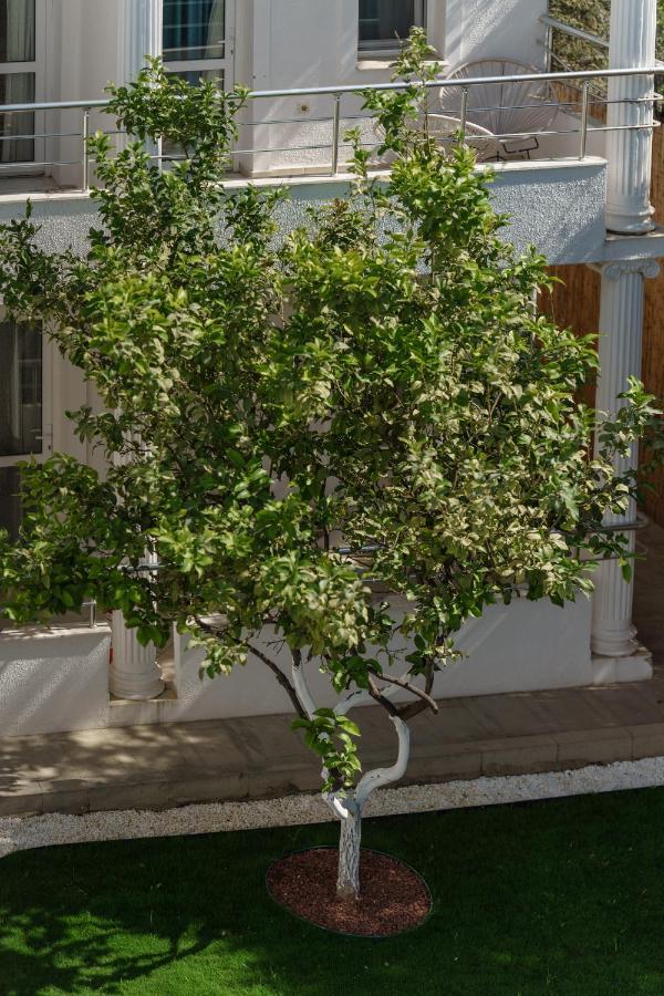 Costa Maya Bodrum Exterior photo